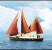 Die Barracuda2 knnen Sie fr einen Abenteuer-, Segelurlaub, Romantik-, Erlebnis-, Surfurlaub, Senioren- oder Aktivurlaub chartern. 